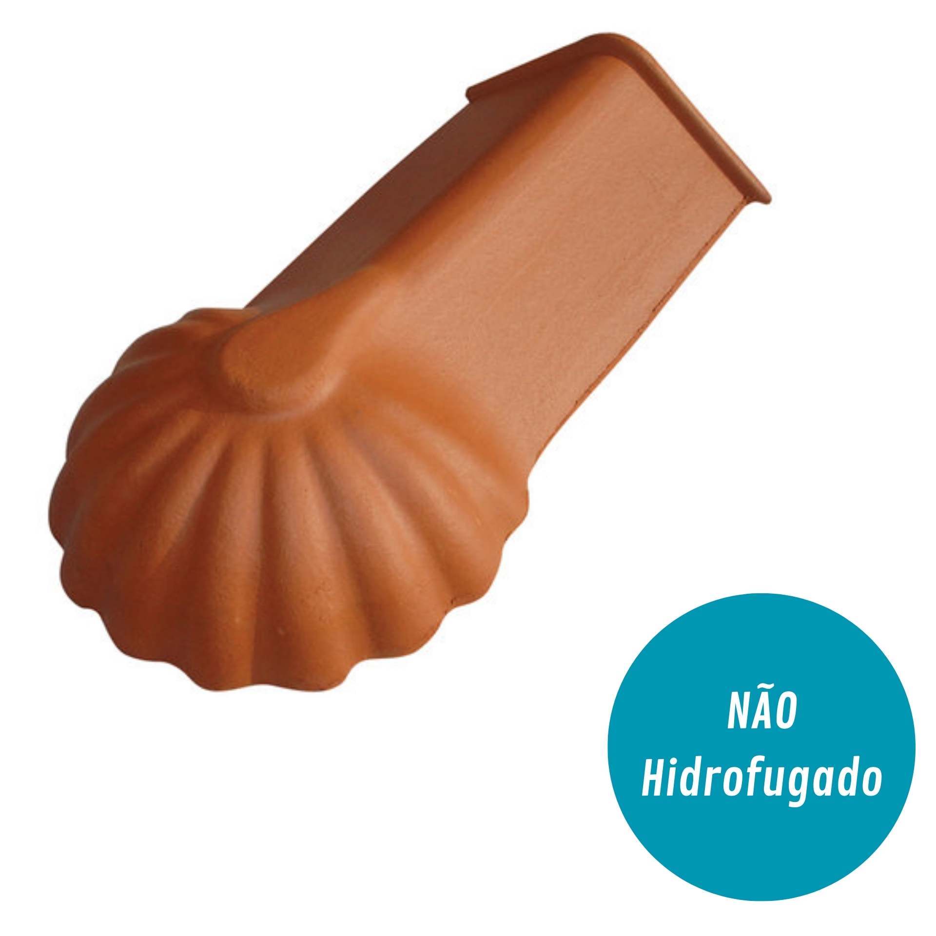 Pata de Leão Marselha Lógica/ MG Plus
