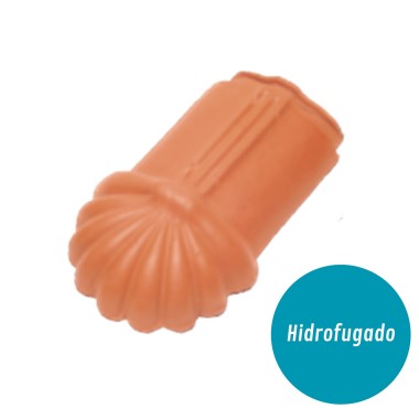 Pata de Leo Lusa S10