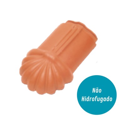 Pata de Leo Lusa S10