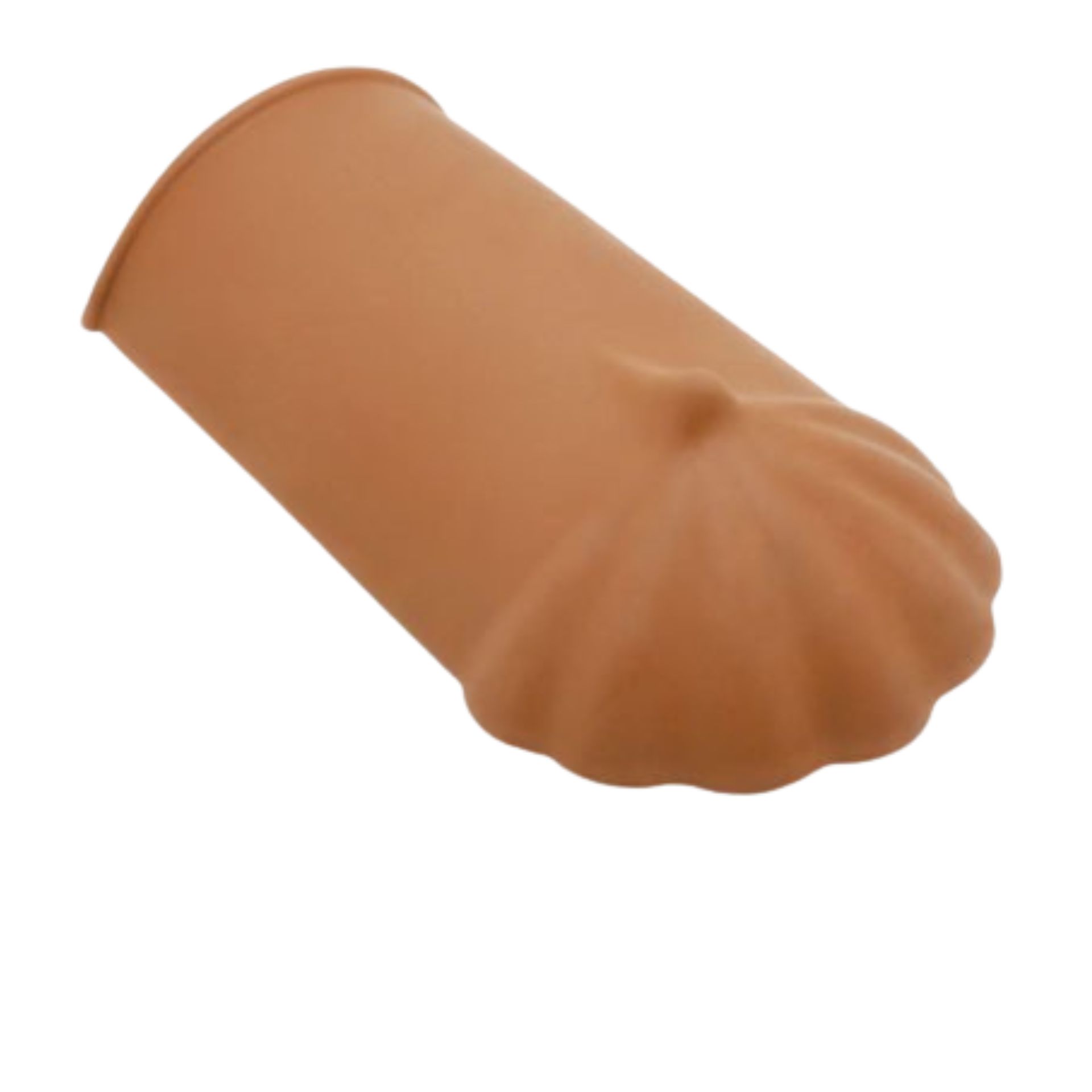 Telhão de Início UM Lusa