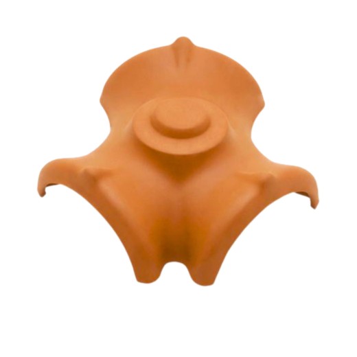 Telho de 3H Macho UM Lusa