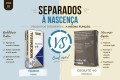 Todo1 vs Geolite 40